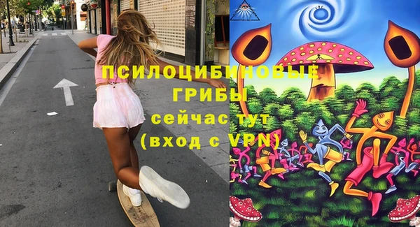 мдпв Вязьма